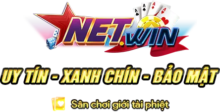 NETWIN
